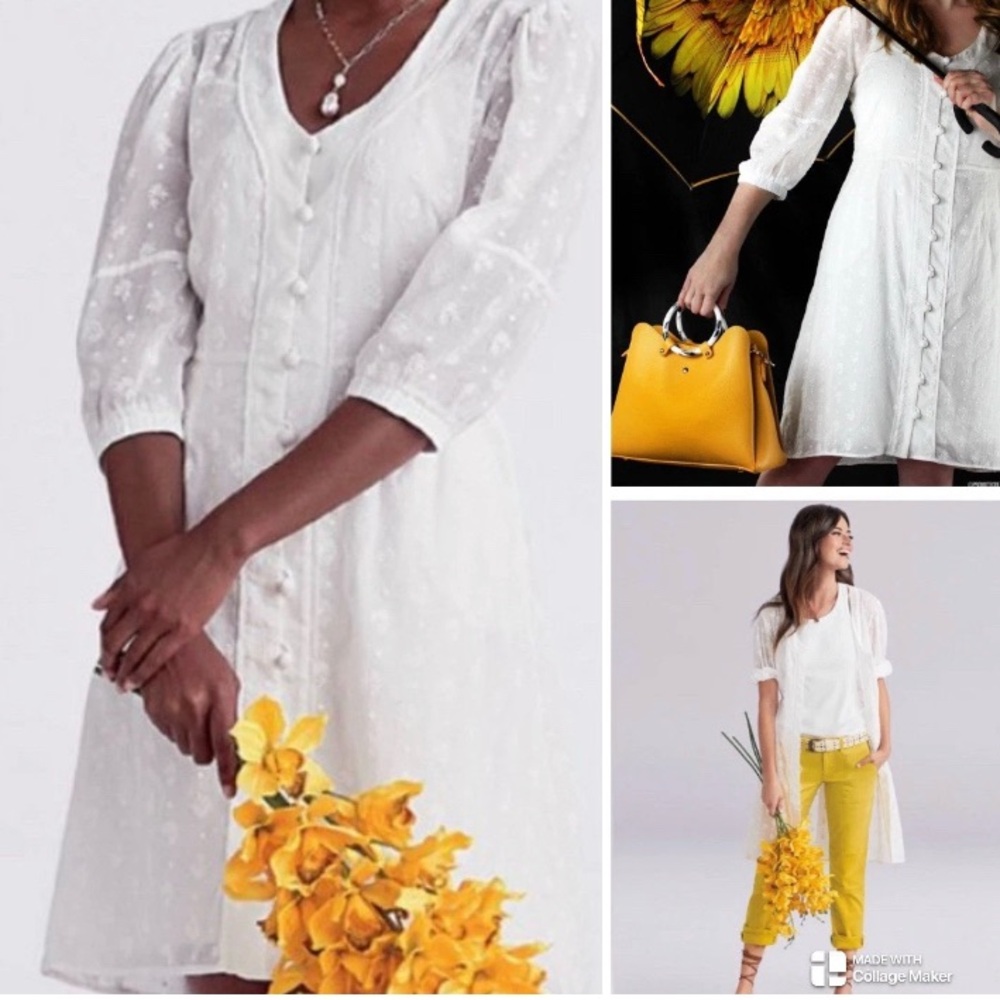 Cabi Midsummer Cotton White Floral Embroidered Sheer Button-Down Dress MIDI Sz 8